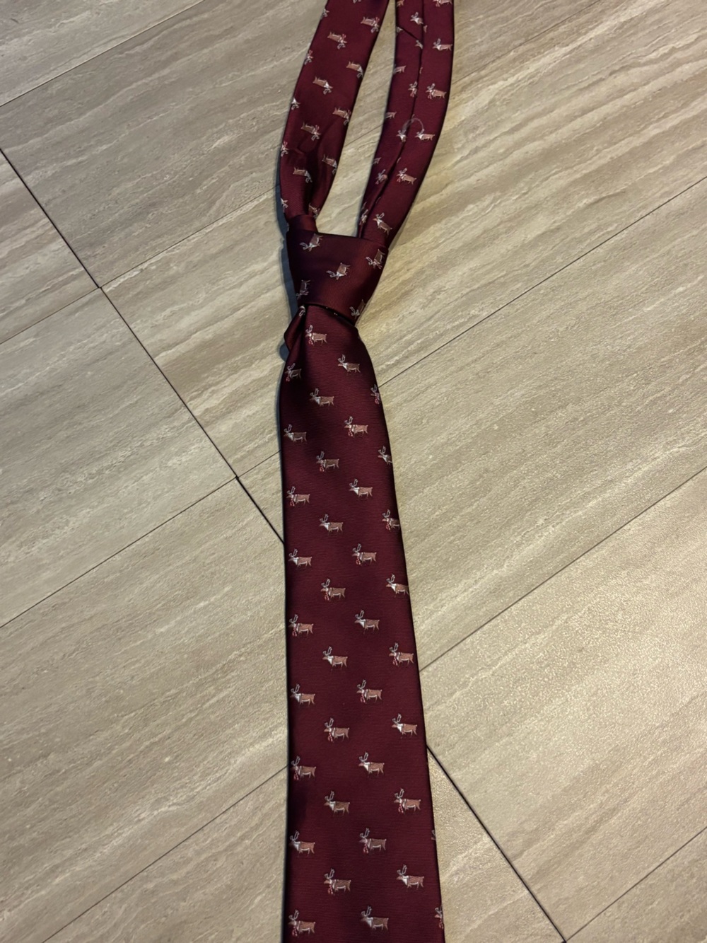Men's Burgundy Patterned Silk Tie
